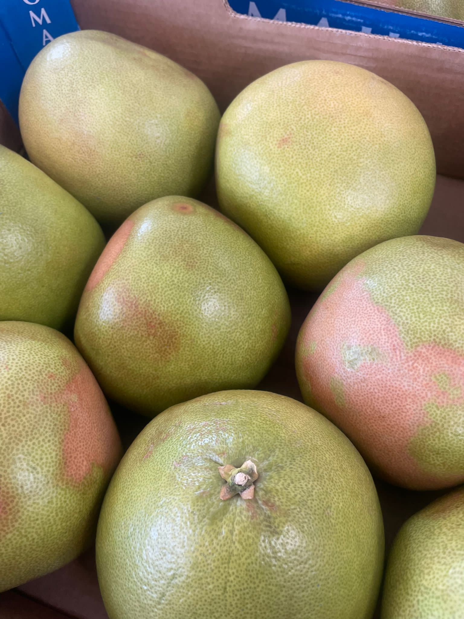 Pomelo