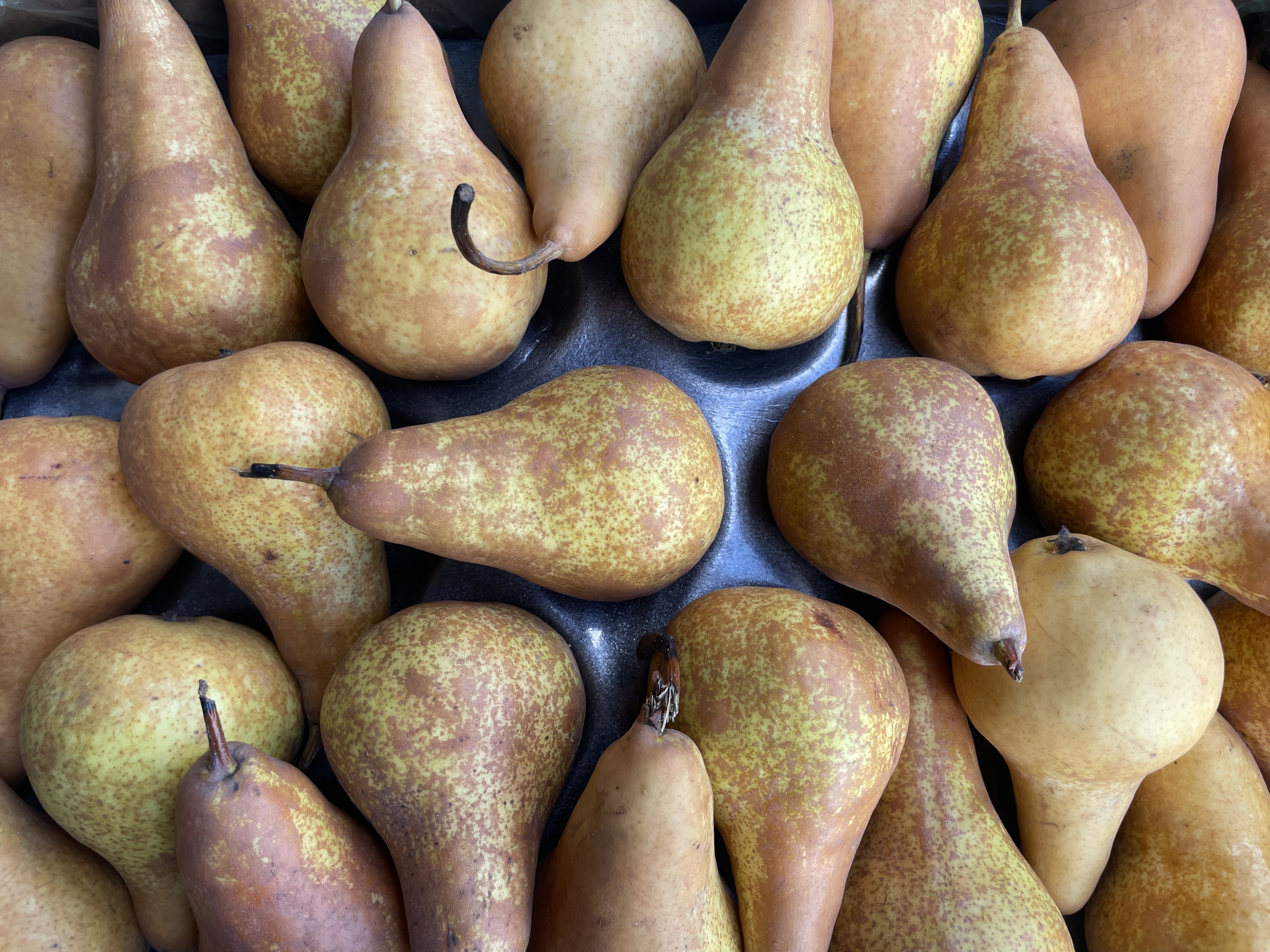 Peren