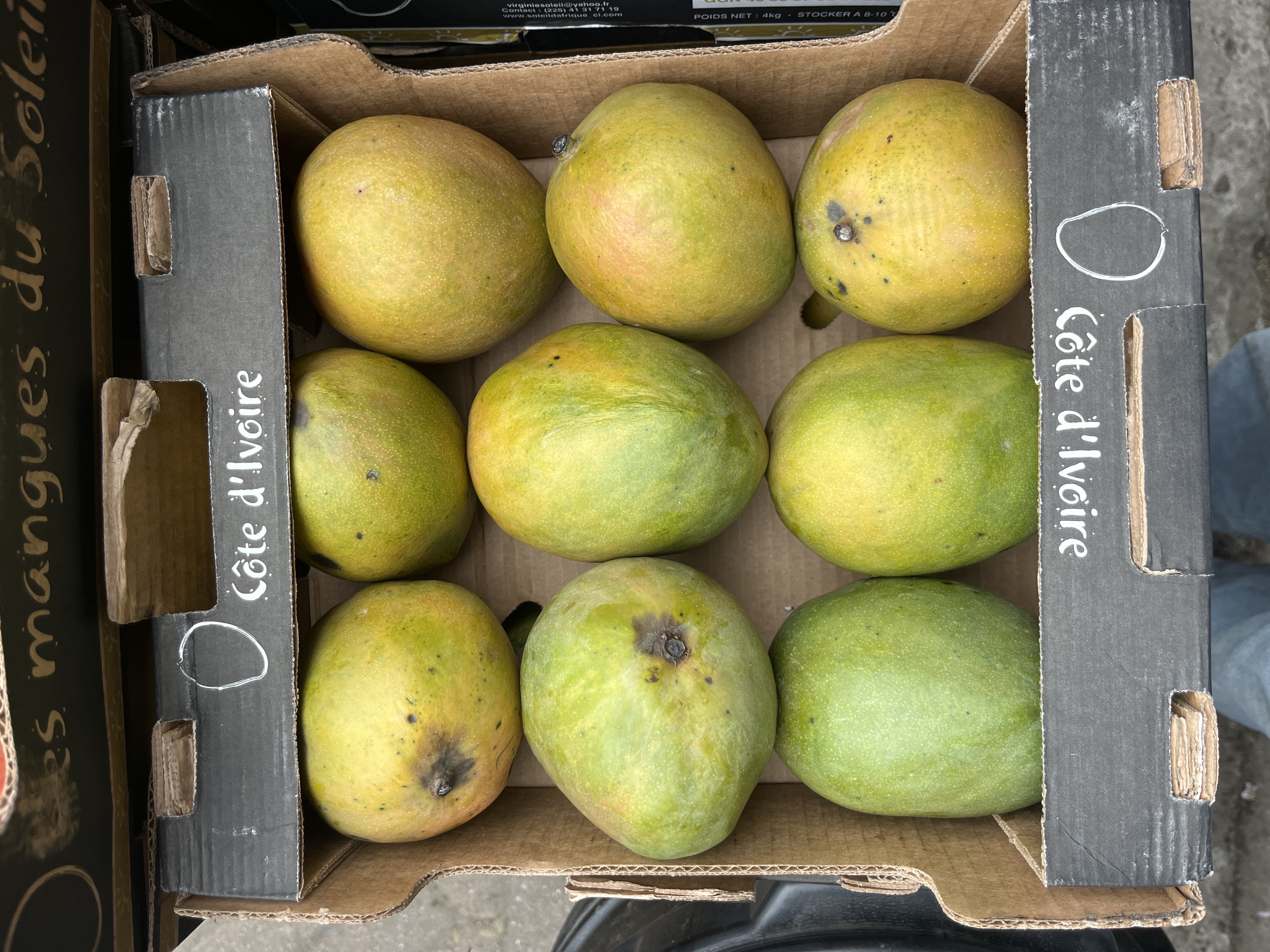 Mango