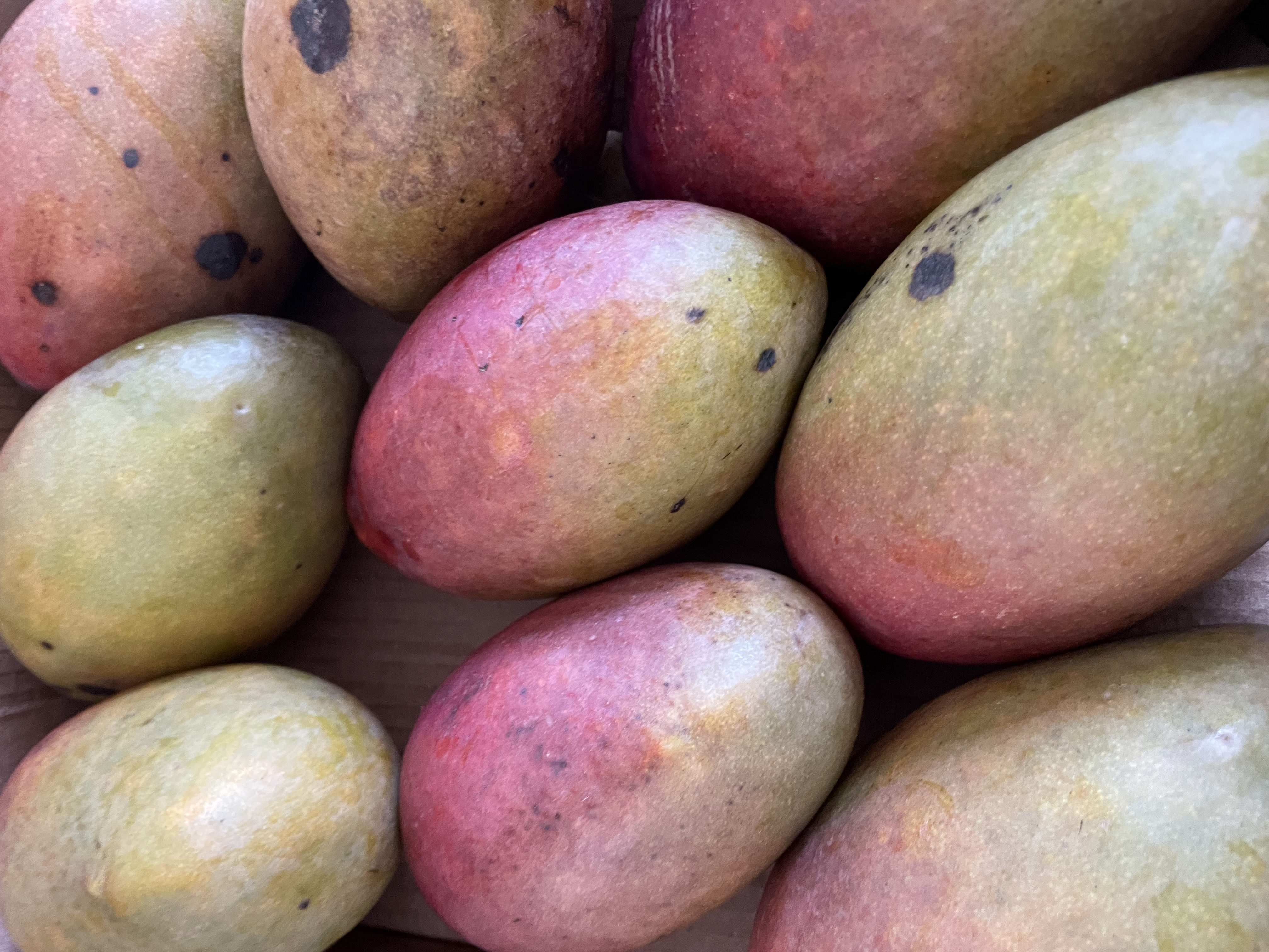 Mango