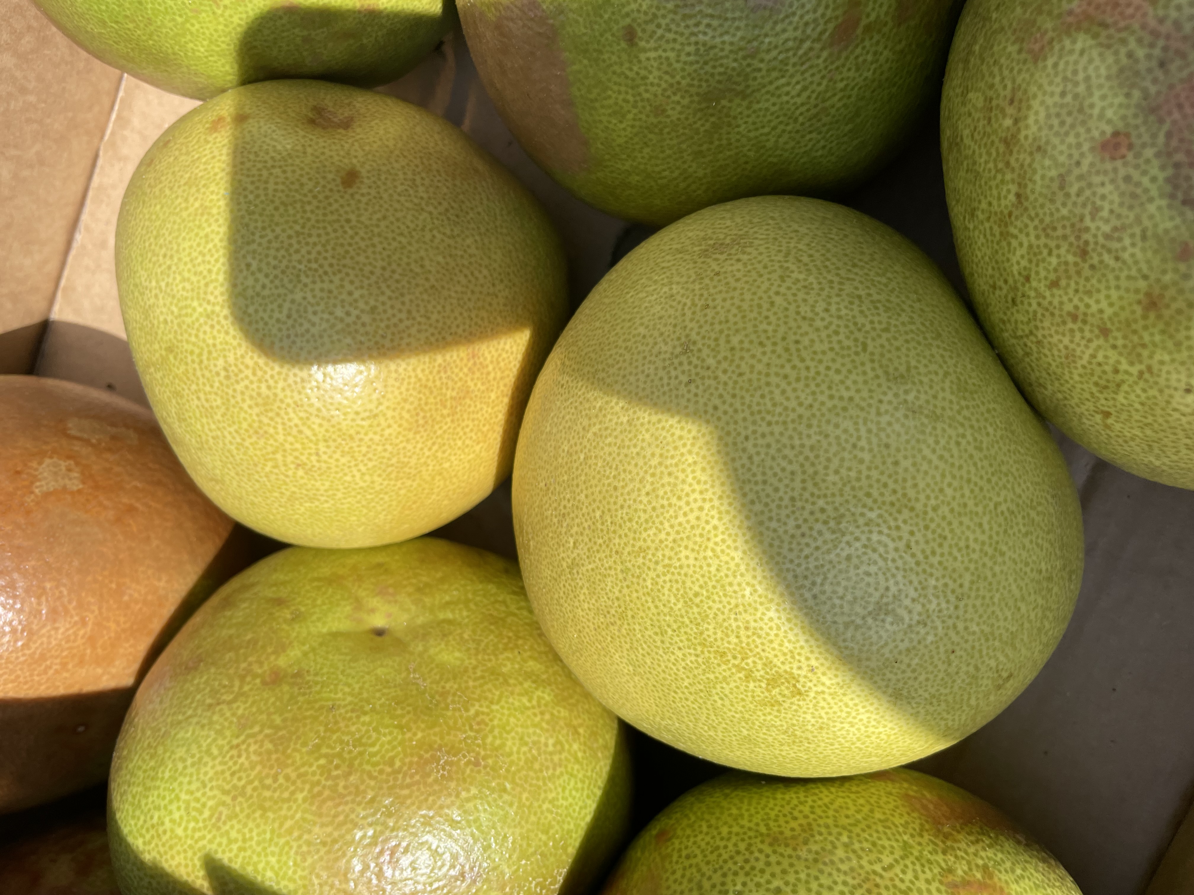 Pomelo