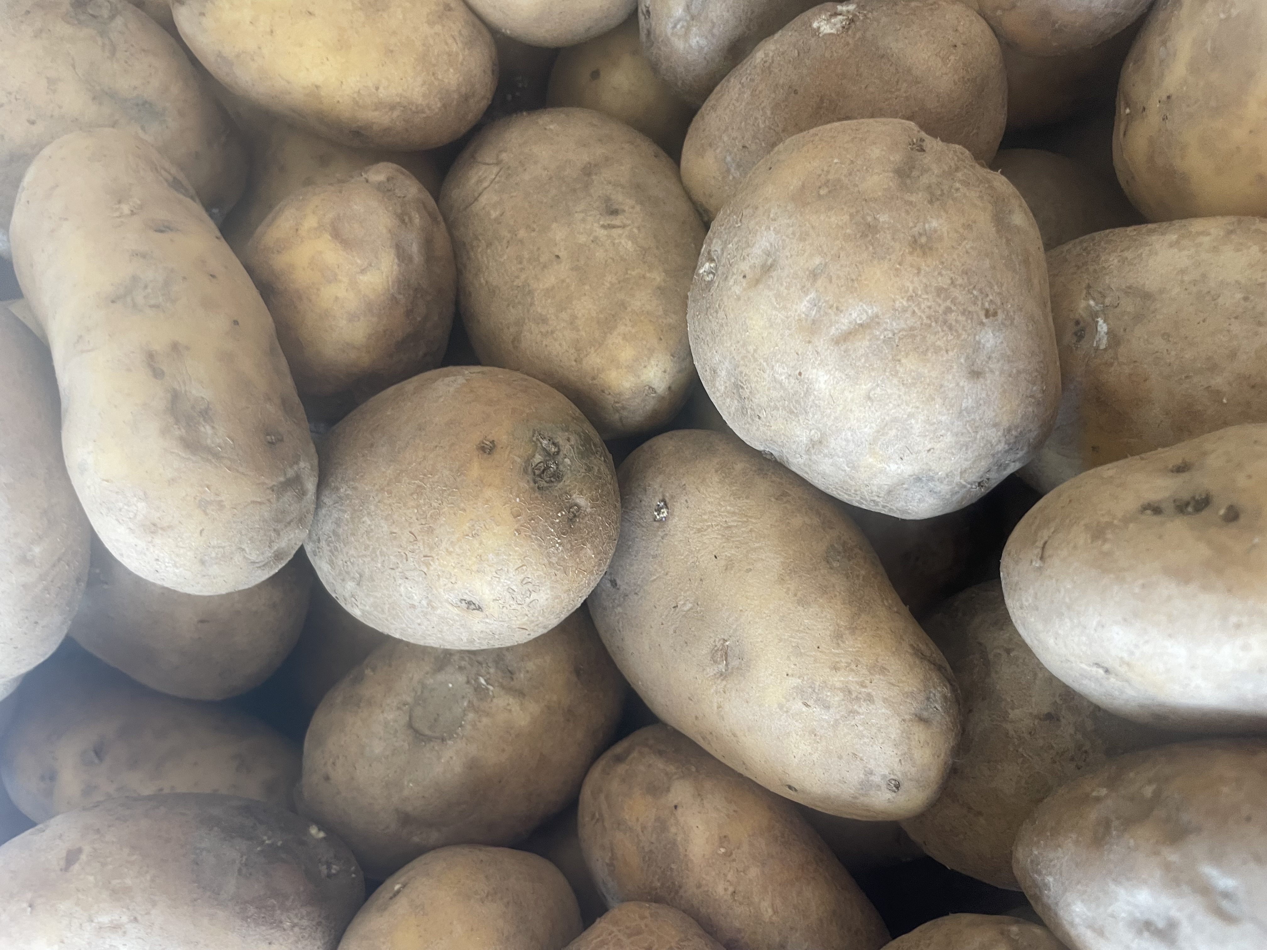 Aardappelen