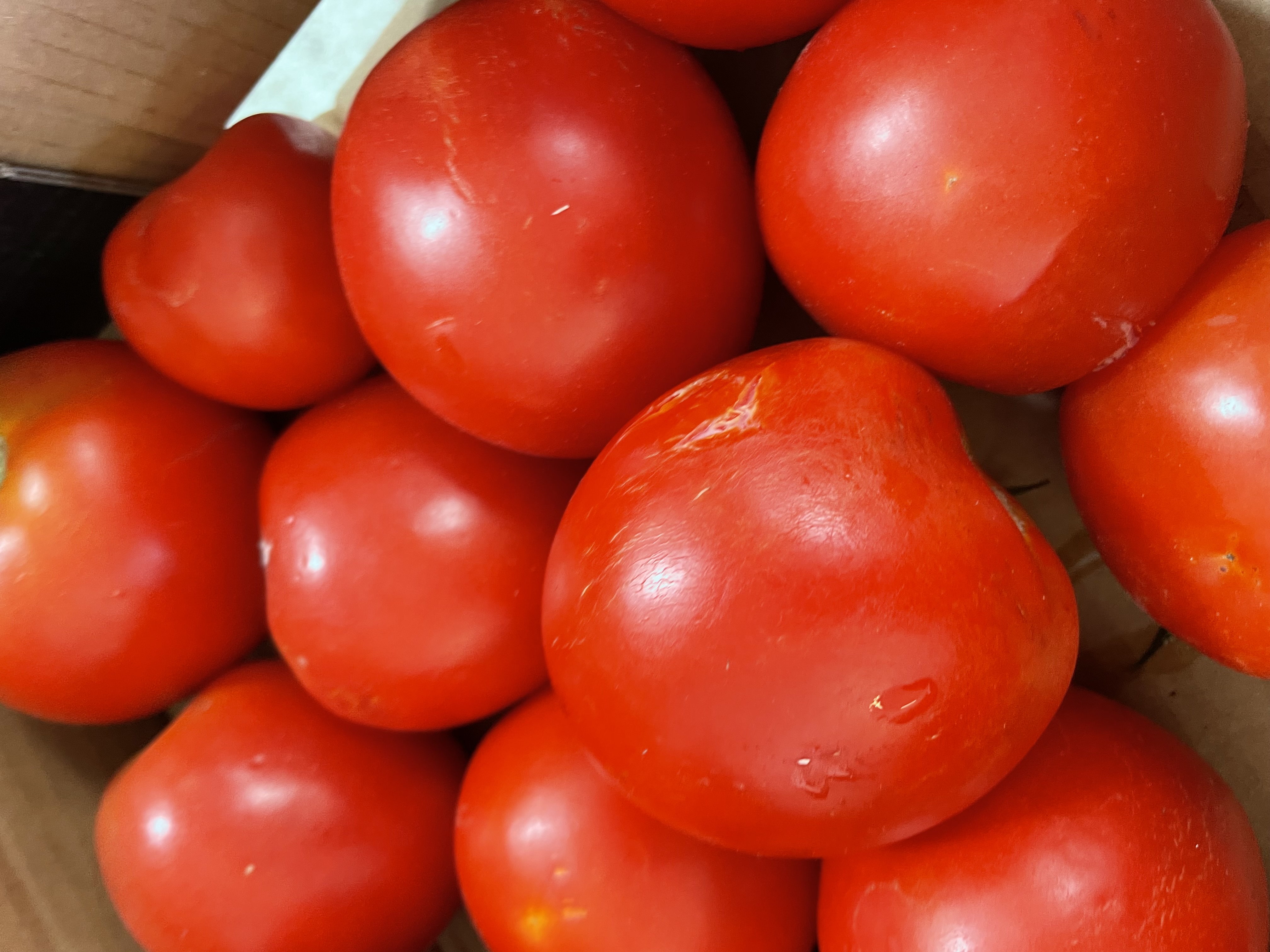 Tomaten