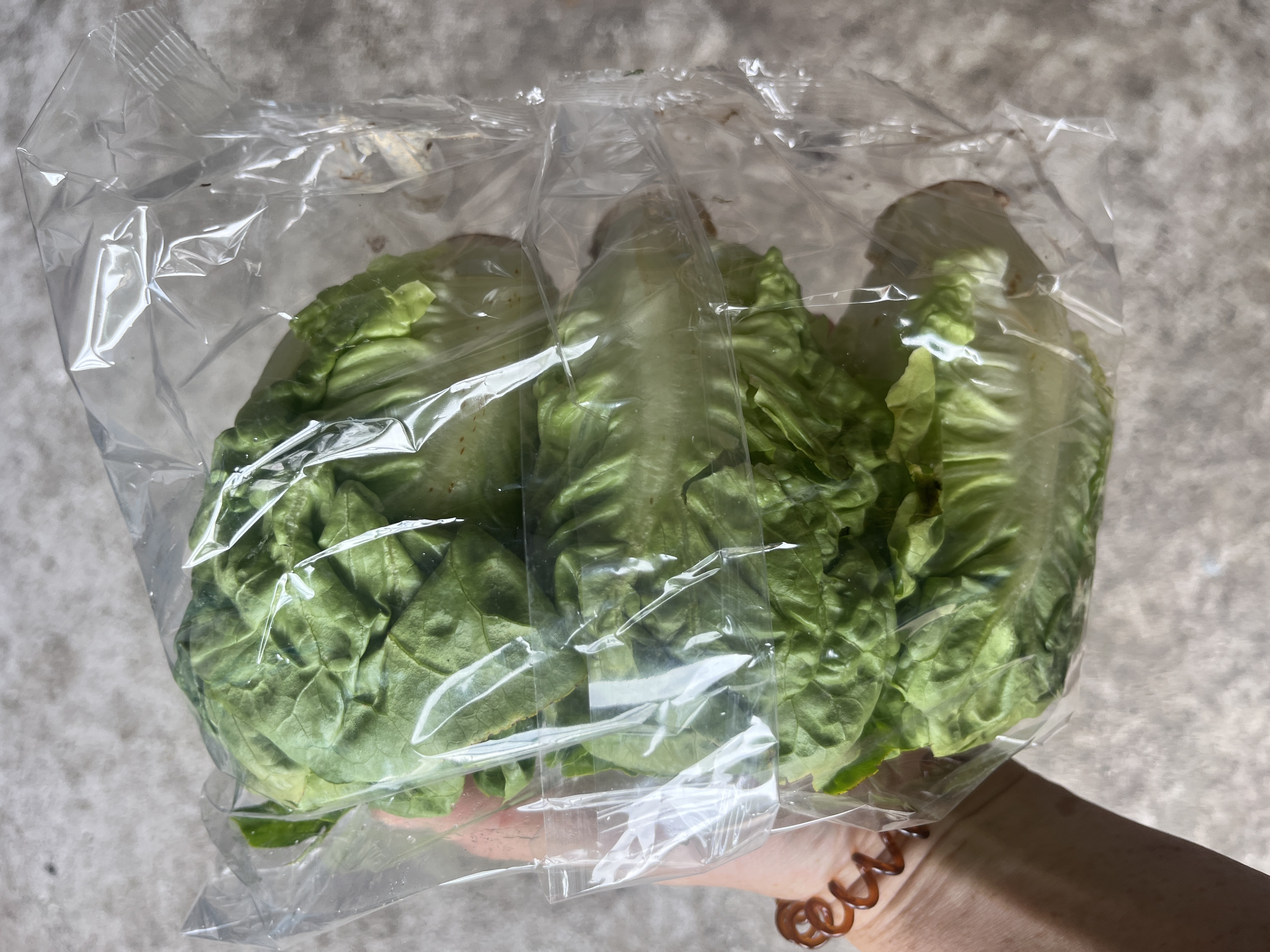 Romaine sla