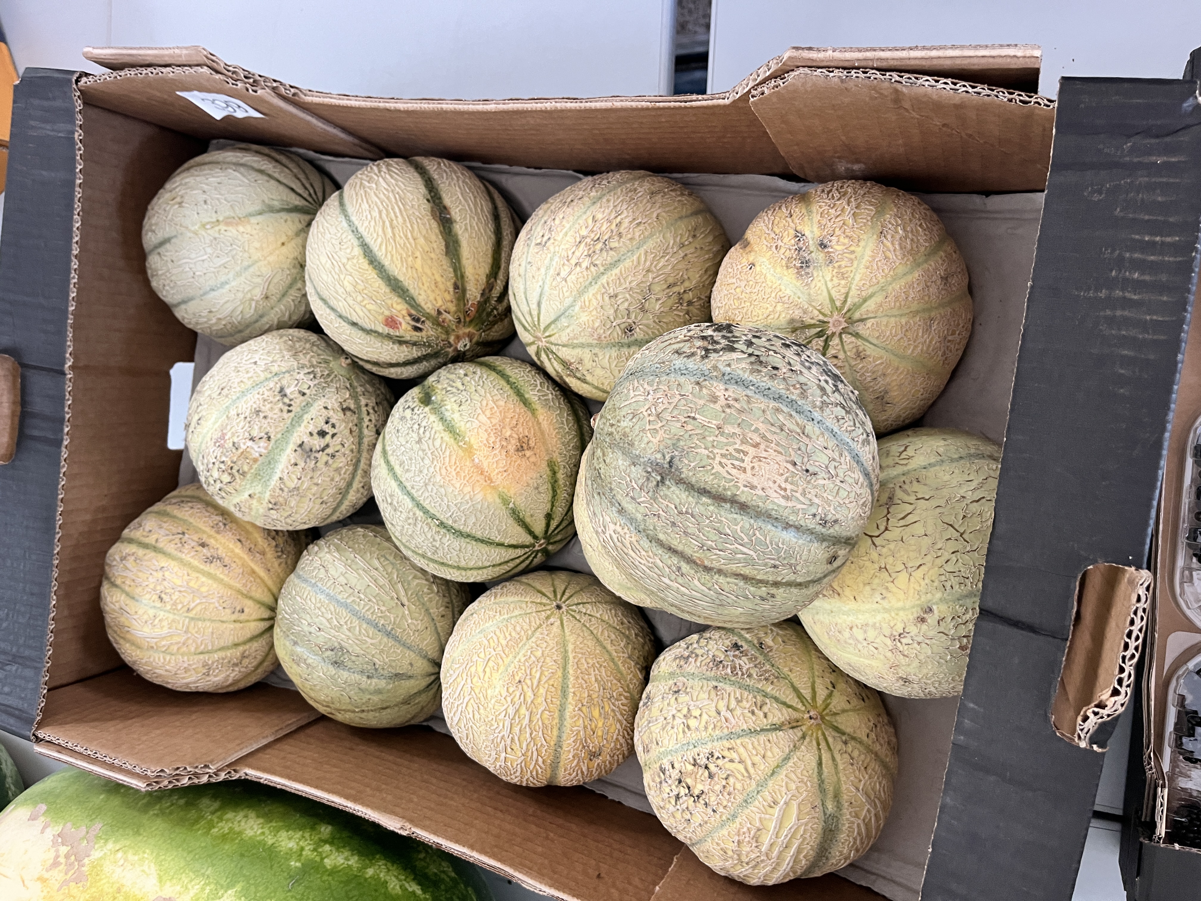 Meloen - Cantaloup